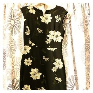 Banana Republic knee length fitted dress